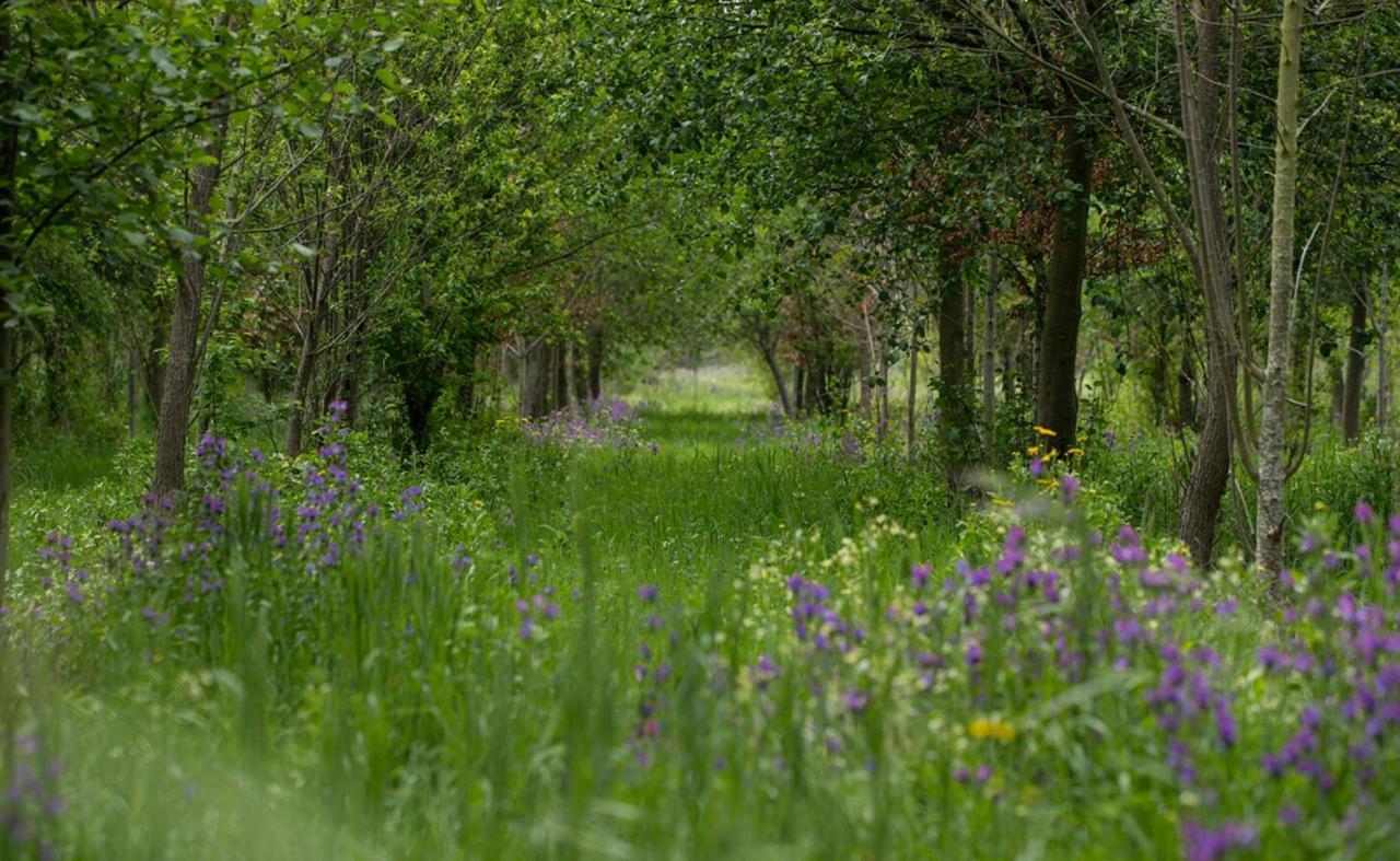 Saqa Organic Farm Villa Pera Boa Esterno foto